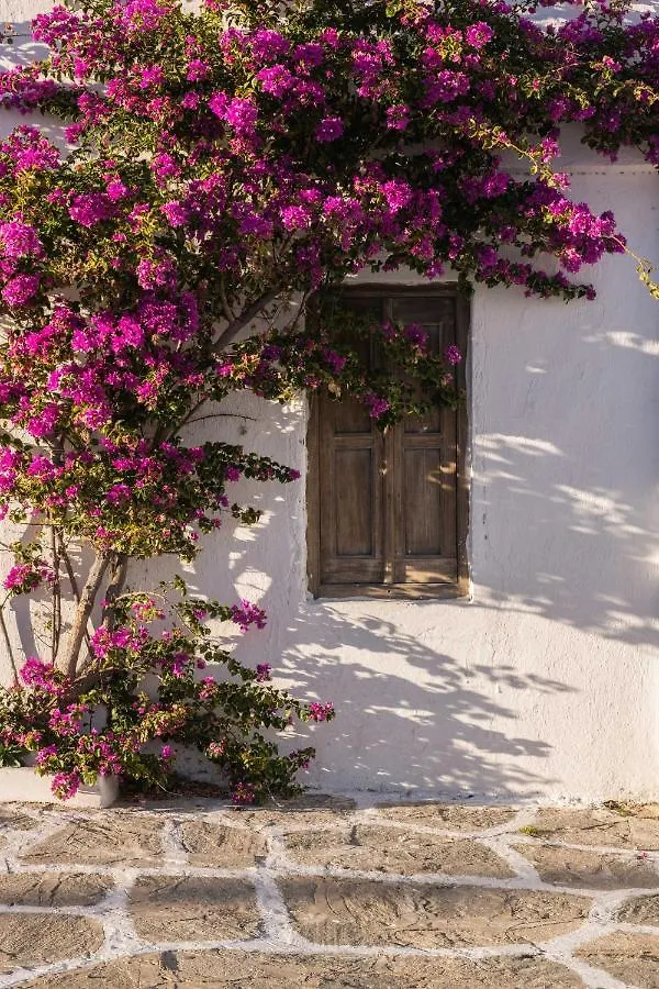 Casa Anna Suites Mykonos Town Grecia